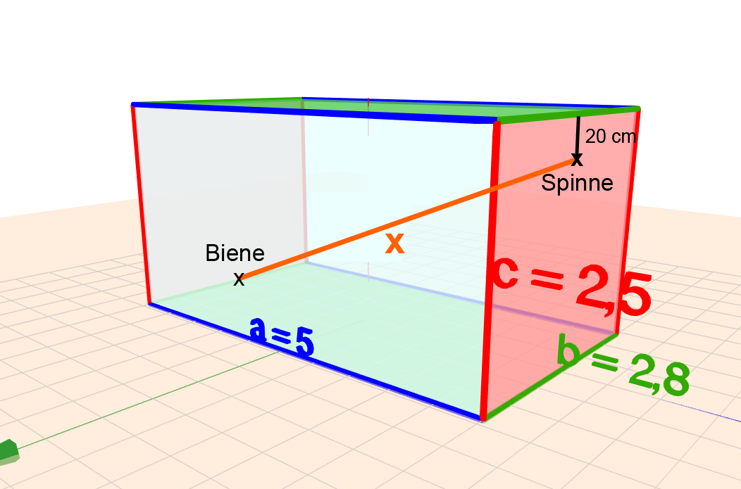 pythagoras spinne fliege