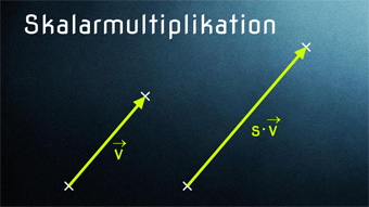 Lektion VEK05: Skalarmultiplikation