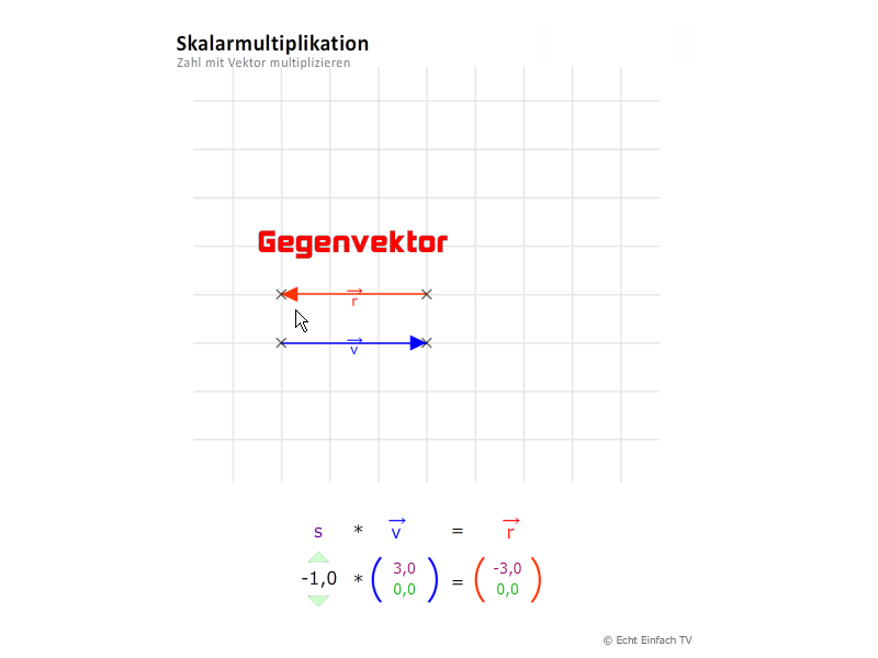 Gegenvektor