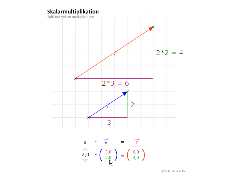 Skalarmultiplikation Beispiel