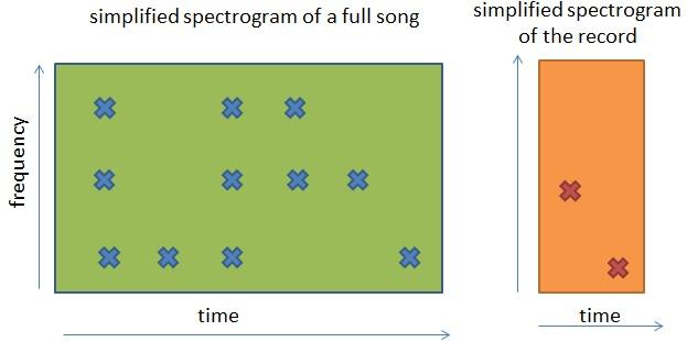 Vereinfachtes Spektrogramm: Song und Aufnahme