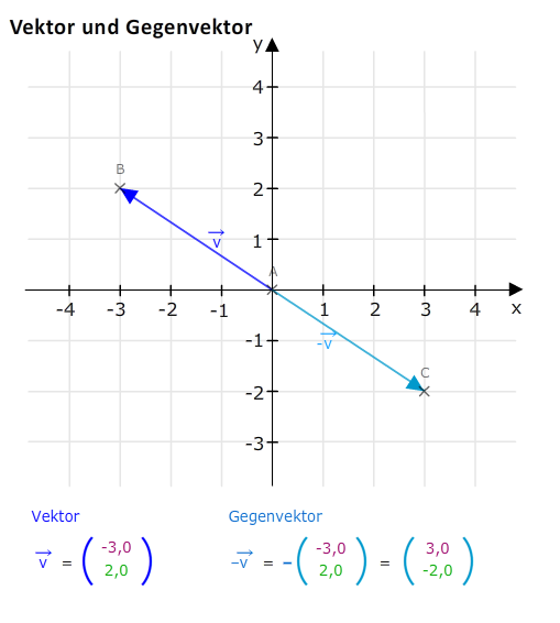 Vektor und Gegenvektor