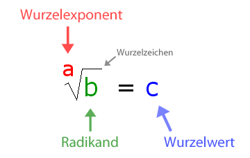 Wurzel Begriffe