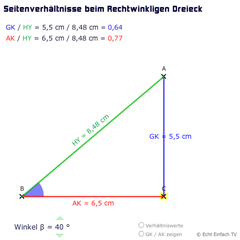 Sinus und Kosinus: Seitenverhältnisse