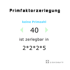 Primfaktorzerlegung 