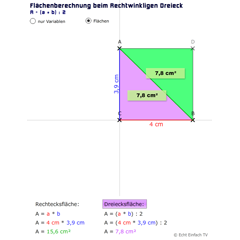 Rechtwinklige Dreiecke: Flächenberechnung