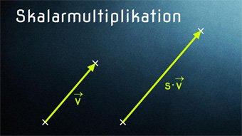 Skalarmultiplikation - Einführung Skalar mal Vektor