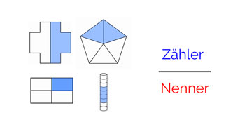Bruchzahlen und Anteile